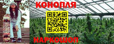 гидропоника Кулебаки