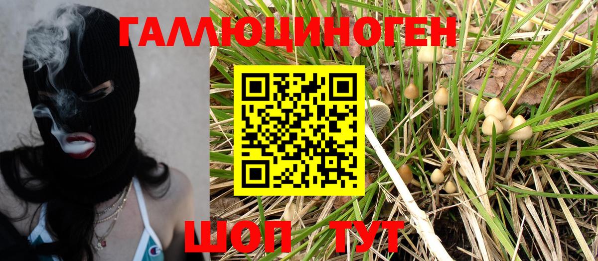 Галлюциногенные грибы Cubensis Ефремов